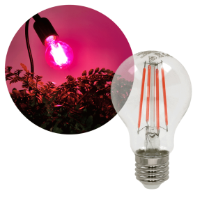 LED Grolys Pære E27 | 10,98 PPF | 8W | PLANTY | Glas — produktbillede fra PlusLED